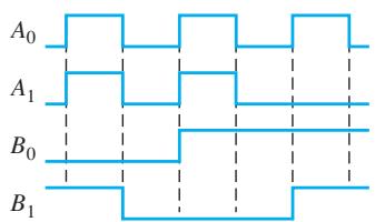 第六章补充图版 32