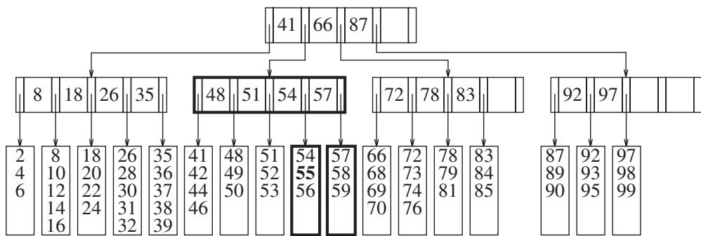 图：插入 55 引发分裂
