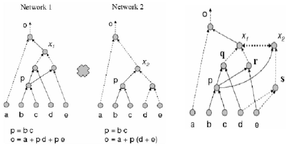 图3.6 把两个等价网络合并成choice network：功能等价的节点归为一个等价类，任选一名做代表