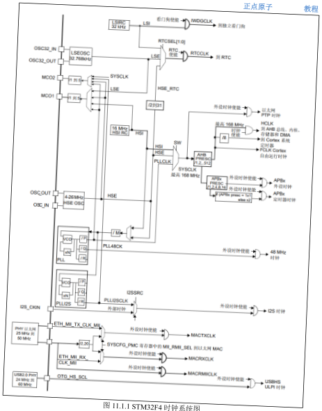 原书图 11.1.1:STM32F407 时钟树全景