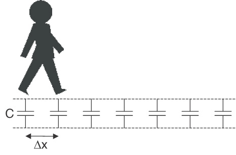 zeroth order model